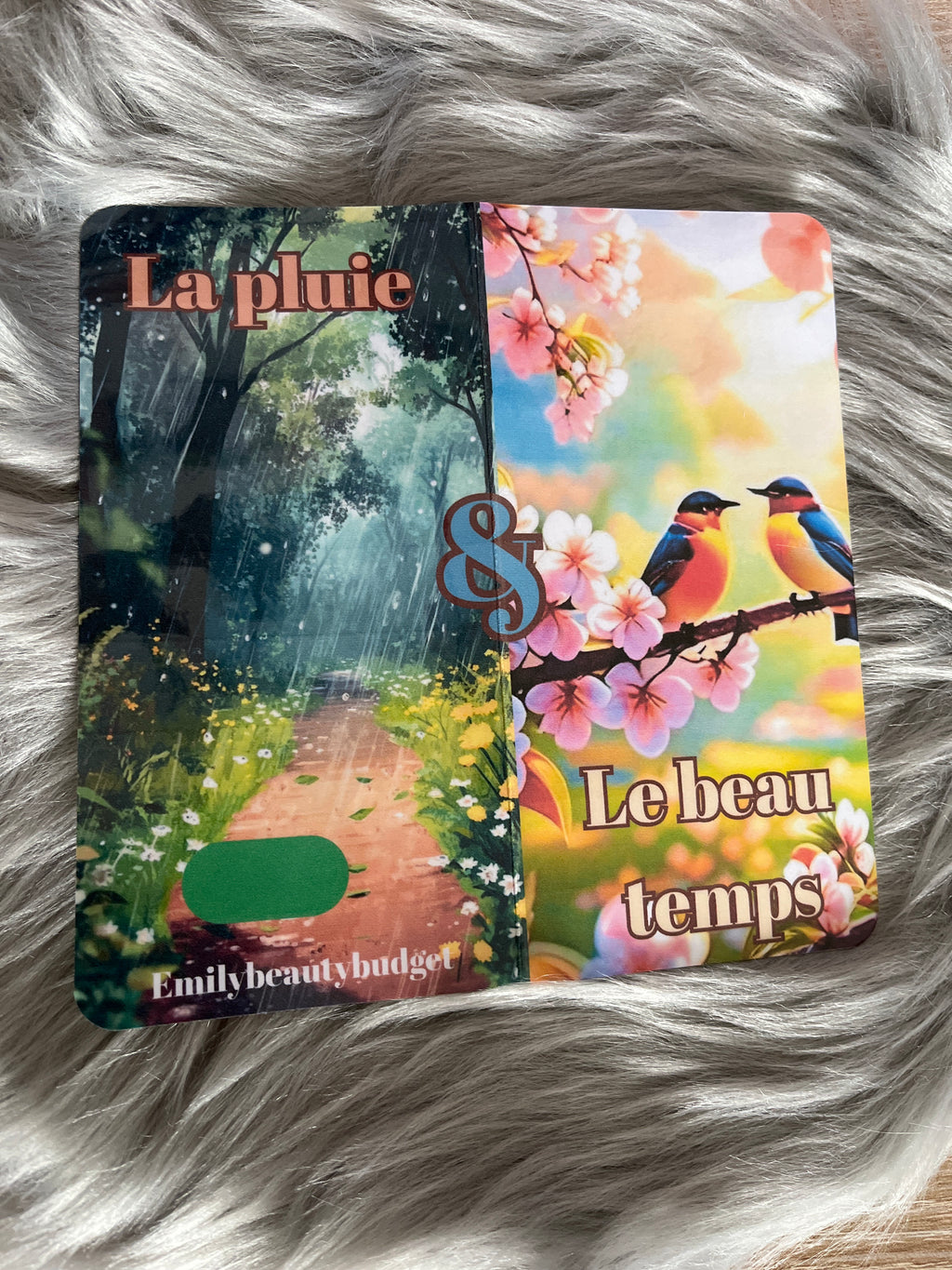 La Pluie Et le Beau Temps
